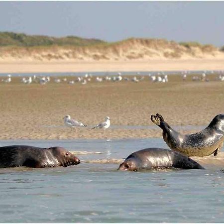 Escapade Berckoise, Berck Plage 外观 照片