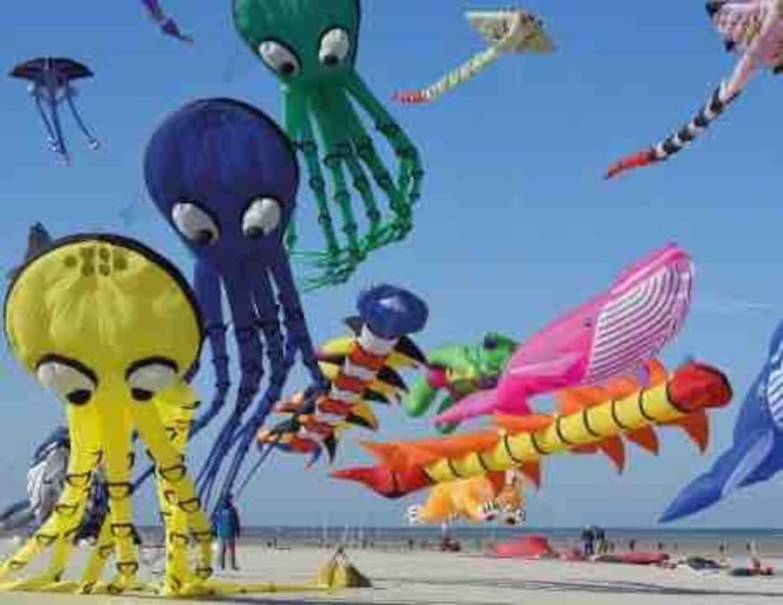 Escapade Berckoise, Berck Plage 外观 照片